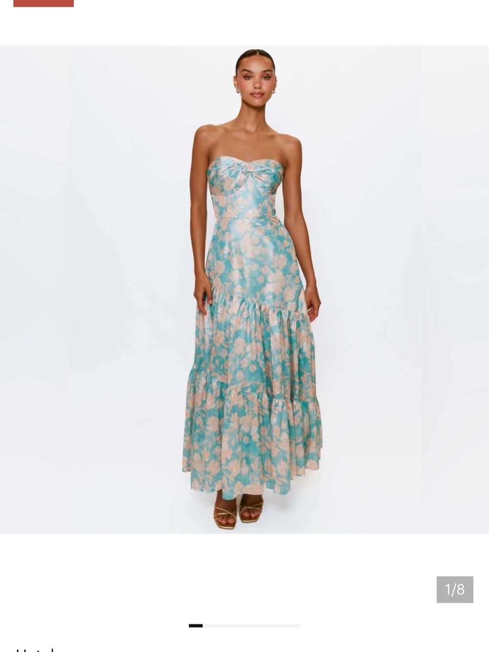 Hutch Strapless Floral Maxi Dress in Teal and Beige